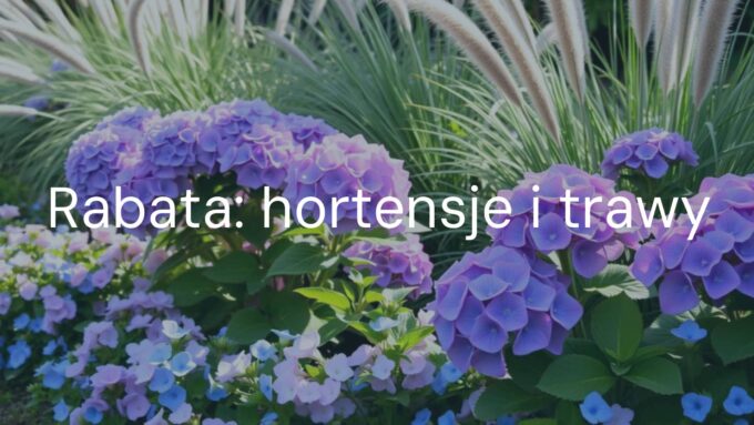 A beautiful garden bed with blooming hydrangeas and ornamental grasses, soft pink and blue flowers, natural sunlight, serene and elegant, realistic.