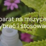 Aphids on green plant leaves, close-up, pesticide spray bottle nearby, garden background, realistic.