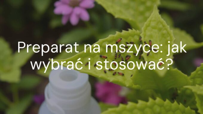 Aphids on green plant leaves, close-up, pesticide spray bottle nearby, garden background, realistic.