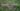 Garden infested with ants, close-up of anthills in grass, realistic.