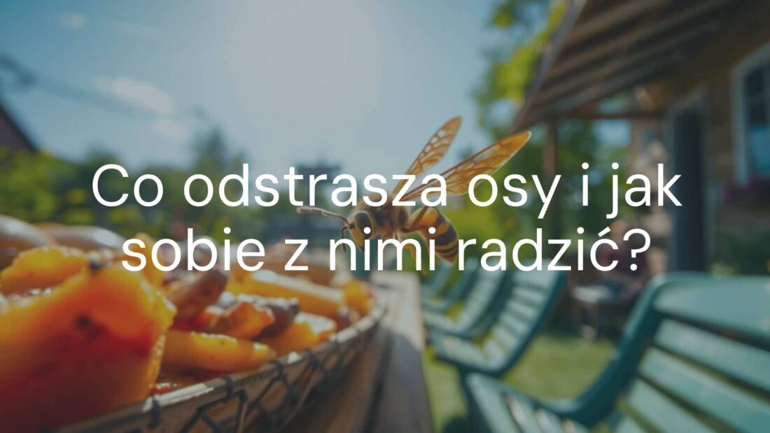 A wasp flying near a garden table with food, bright summer day, realistic.