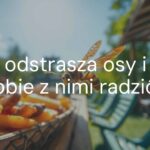 A wasp flying near a garden table with food, bright summer day, realistic.