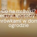 Close-up of ants marching in a line, household setting, ants on kitchen counter with crumbs, realistic, warm lighting.