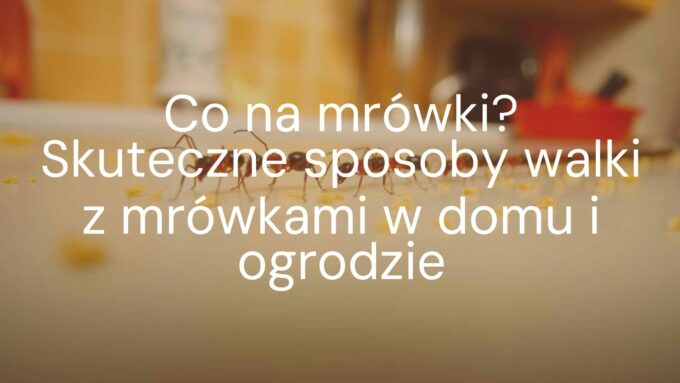 Close-up of ants marching in a line, household setting, ants on kitchen counter with crumbs, realistic, warm lighting.